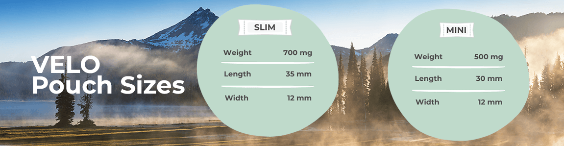 VELO Pouch Sizes and Formats