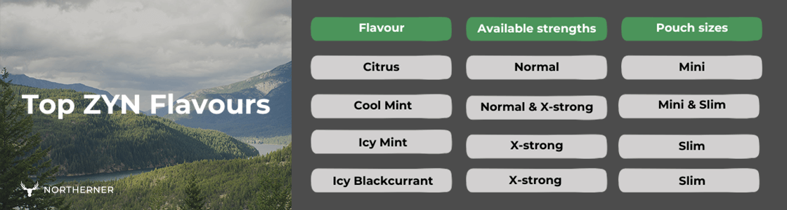 Popular ZYN Flavours