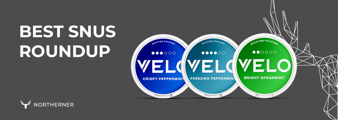 Top 5 Bestselling Snus Roundup