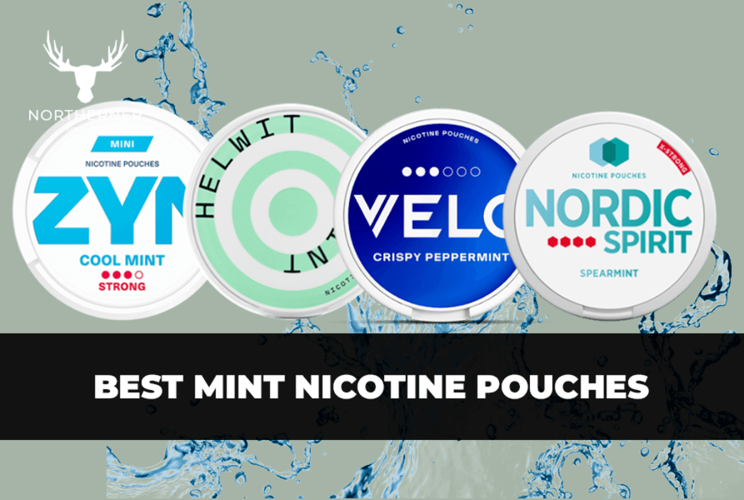 Best Mint Nicotine Pouches