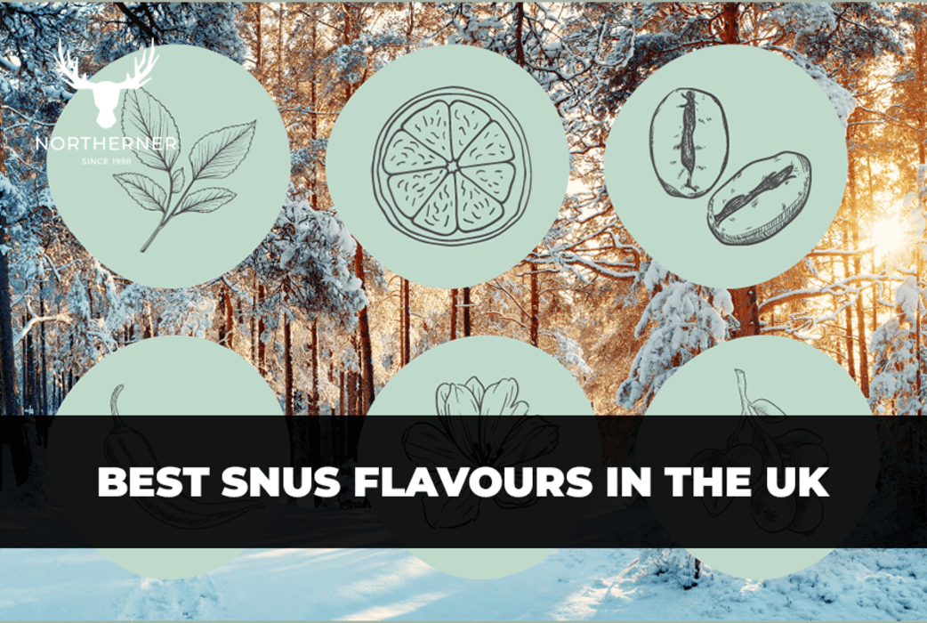 Best Snus Flavours in the UK