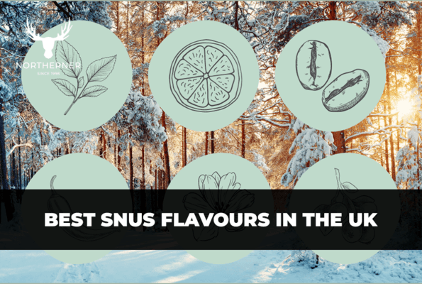 Best Snus Flavours in the UK - Northerner UK