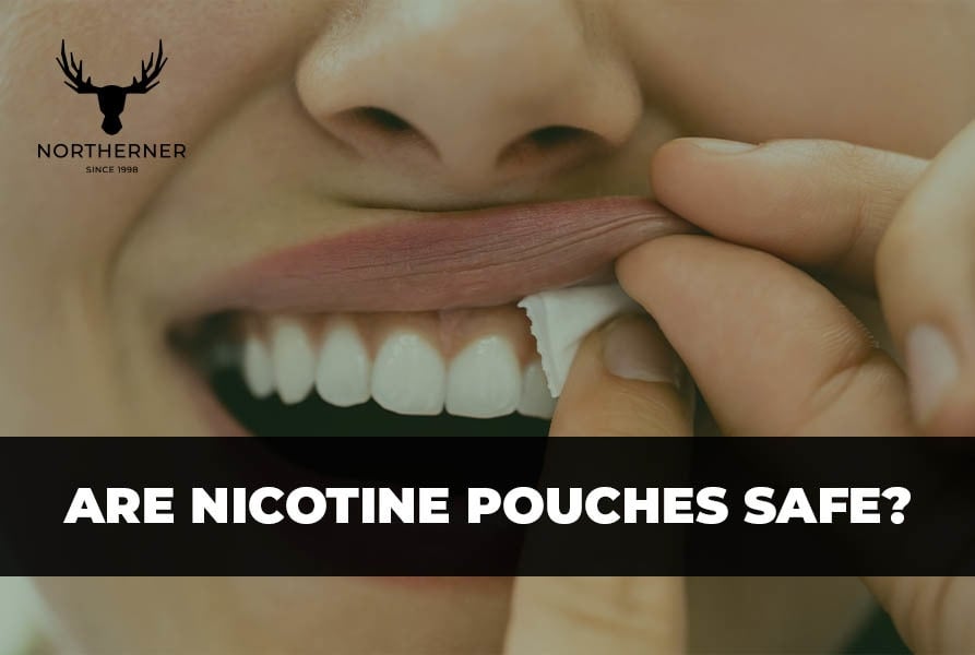 Are Nicotine Pouches Safe? Learn More at NicoLeaks