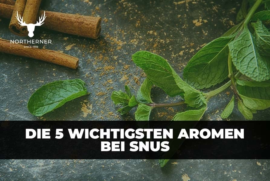 snus geschmack 5 wichtigste aromen bei snus