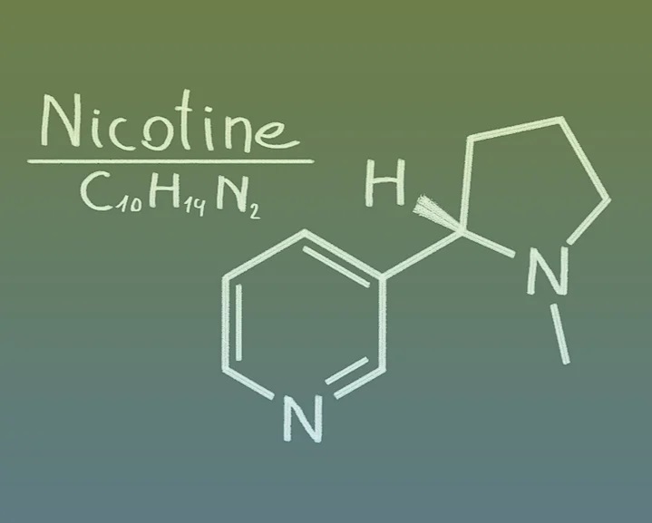Was ist ein Nicotine Pouch?