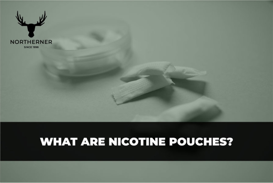 What Are Nicotine Pouches?