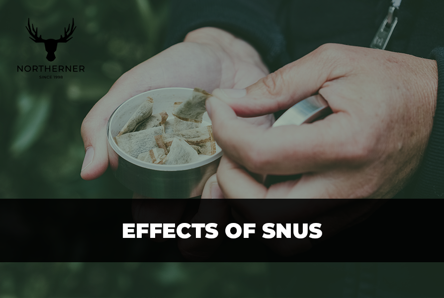 What Are The Effects of Snus