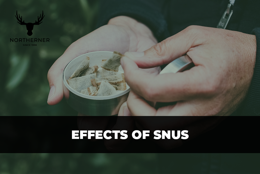 What are the Effects of Snus Northerner