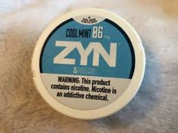 Zyn Cool Mint 6mg Produkttest