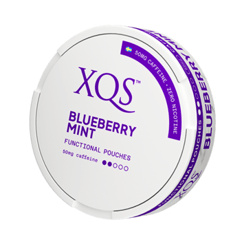 XQS Blueberry Mint Nicotine Free Pouches