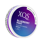 XQS Blueberry Mint Slim All White Nicotine Pouches